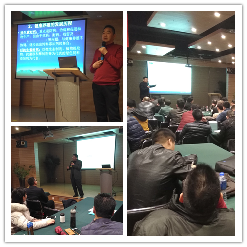 1520229858944762.png 01.png