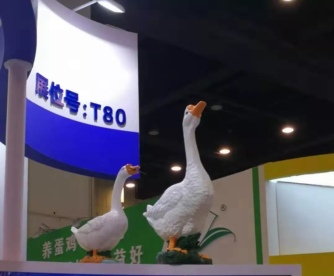 1608279411251692.jpg ac96de738049c6bc47297fc6673d3128_1564805579781069_副本.jpg