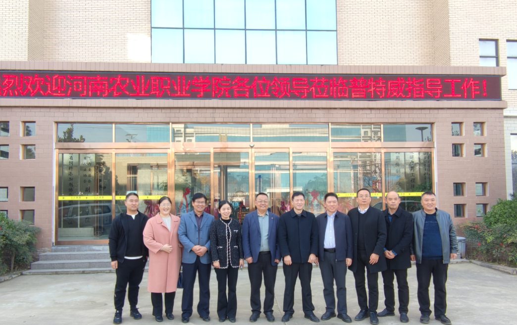 1763188474282503.png 11.png